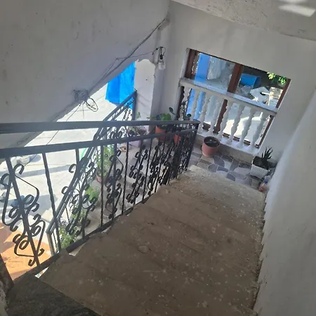 Aleksander House Maison d'hôtes